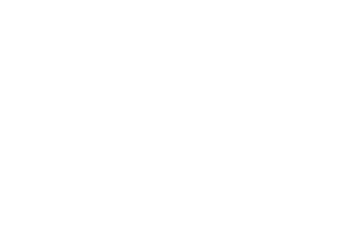Southern Style Vacation FavIcon White
